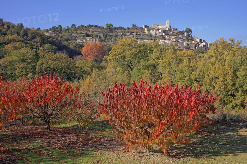 Lacoste, Vaucluse