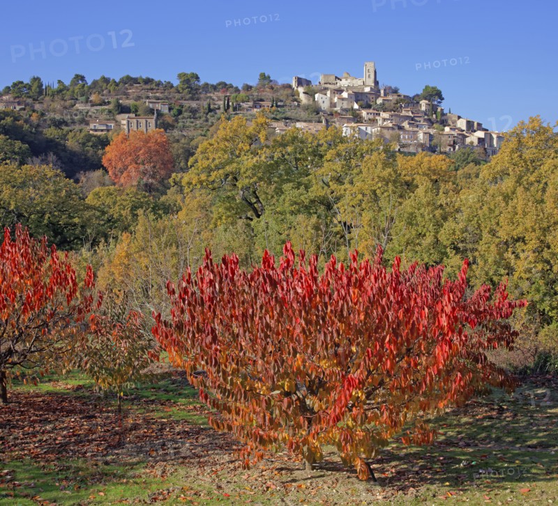 Lacoste, Vaucluse