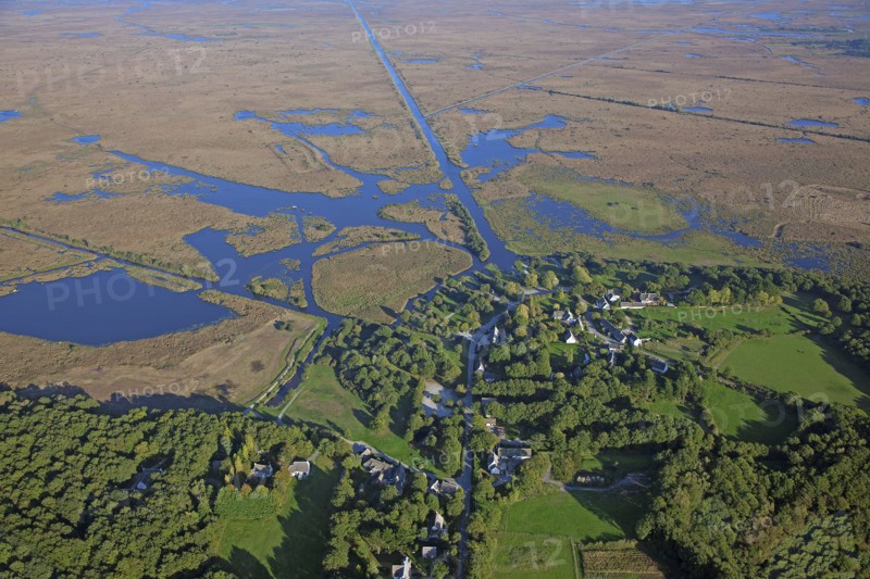 Saint-Lyphard, Loire-Atlantique