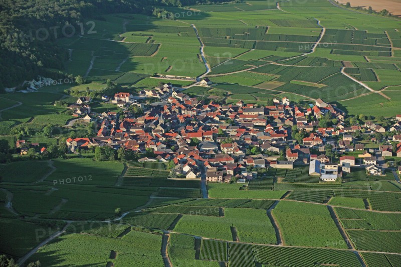 Trépail, Marne