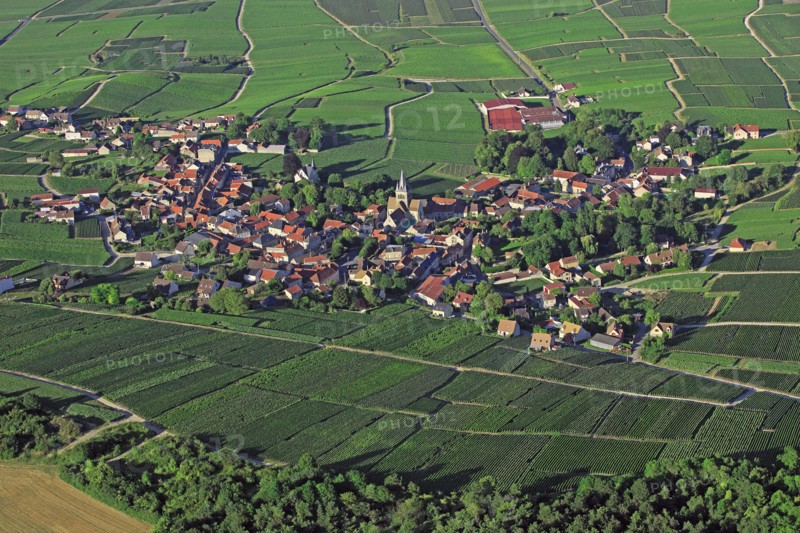 Ville-Dommange, Marne