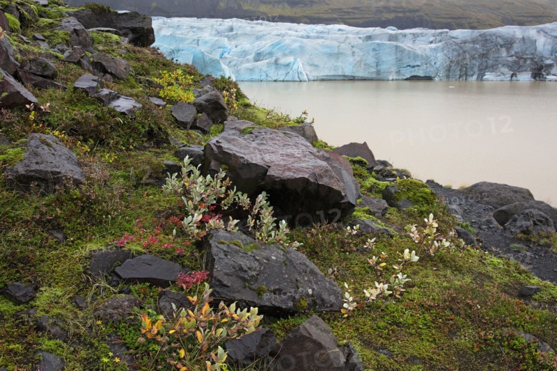 Iceland, Svínafellsjökull glacier