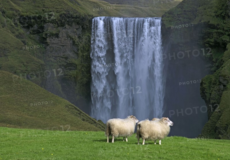 Islande, la cascade de Skogafoss
