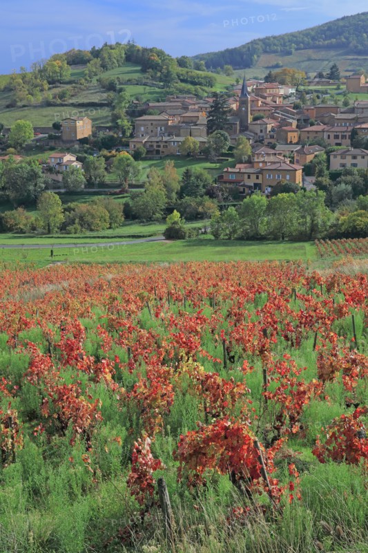 Ville-sur-Jarnioux, Rhône