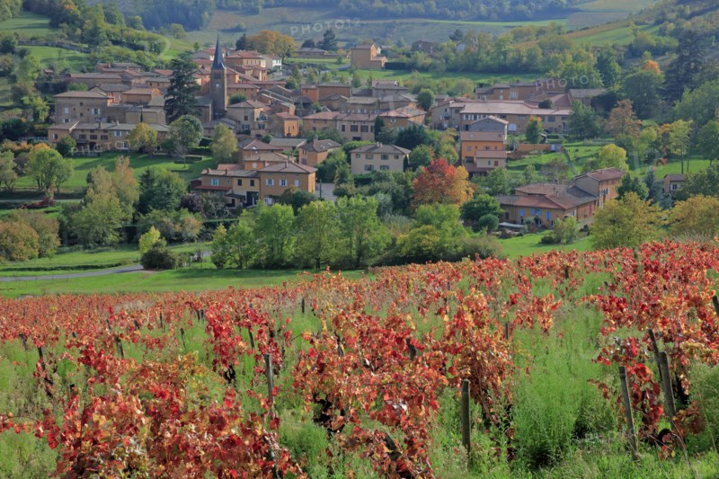 Ville-sur-Jarnioux, Rhône