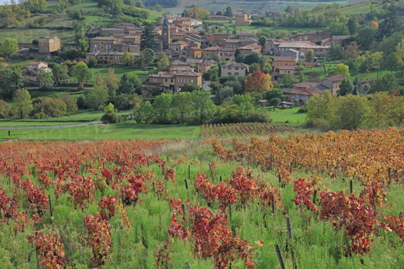 Ville-sur-Jarnioux, Rhône