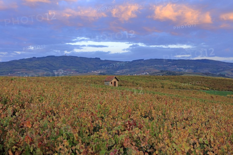 Villié-Morgon, Rhône
