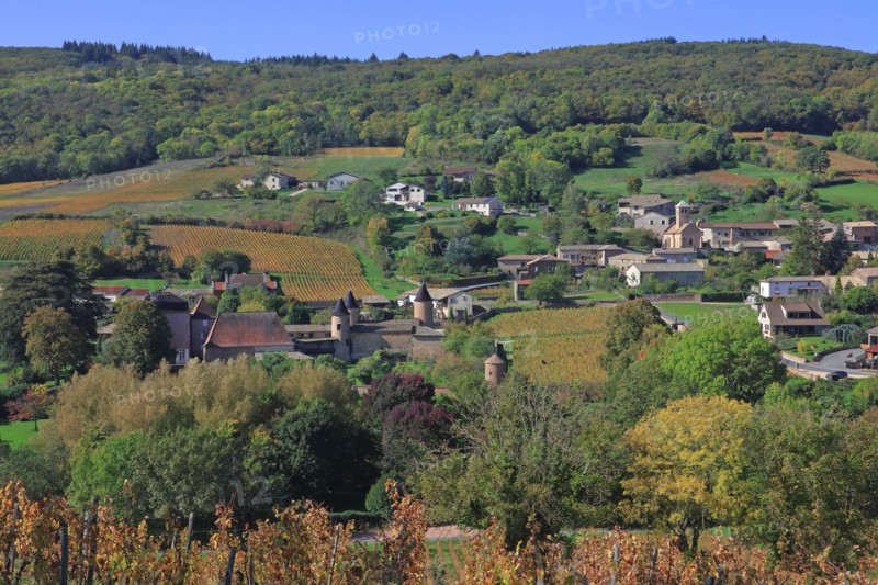 Chasselas, Saône-et-Loire
