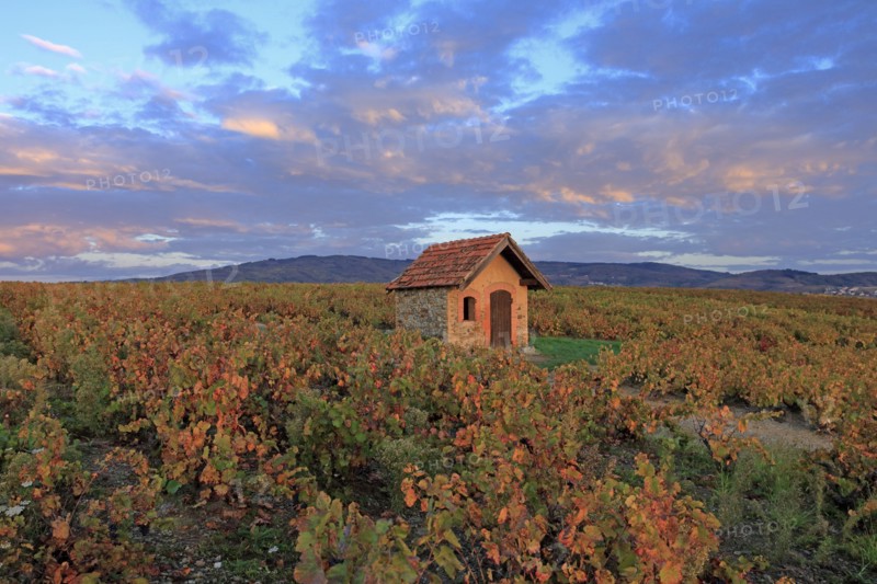 Morgon, Rhône