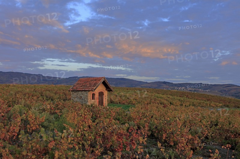 Morgon, Rhône