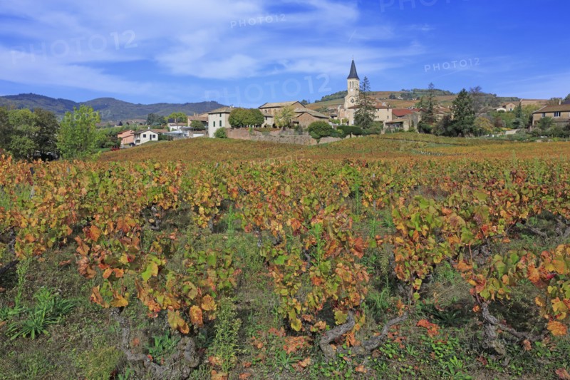 Juliénas, Rhône