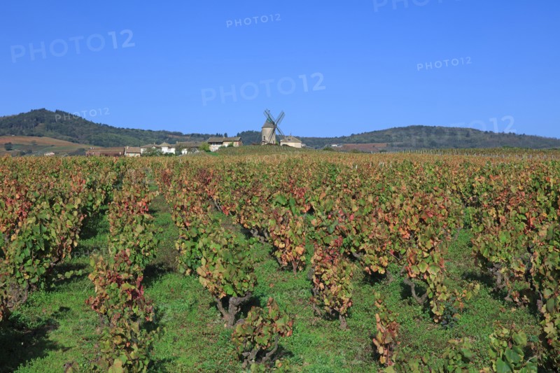 Romanèche-Thorins, Saône-et-Loire