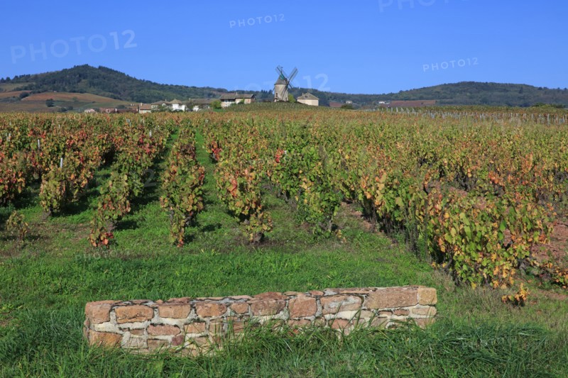 Romanèche-Thorins, Saône-et-Loire