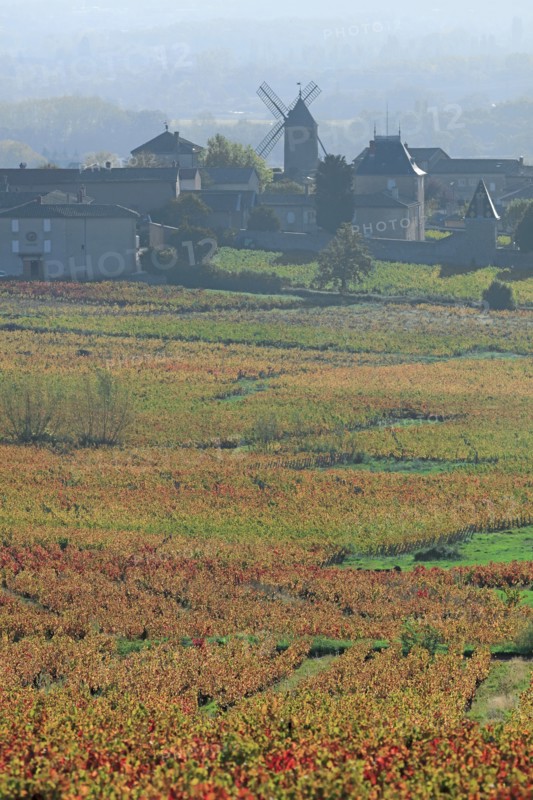 Romanèche-Thorins, Saône-et-Loire