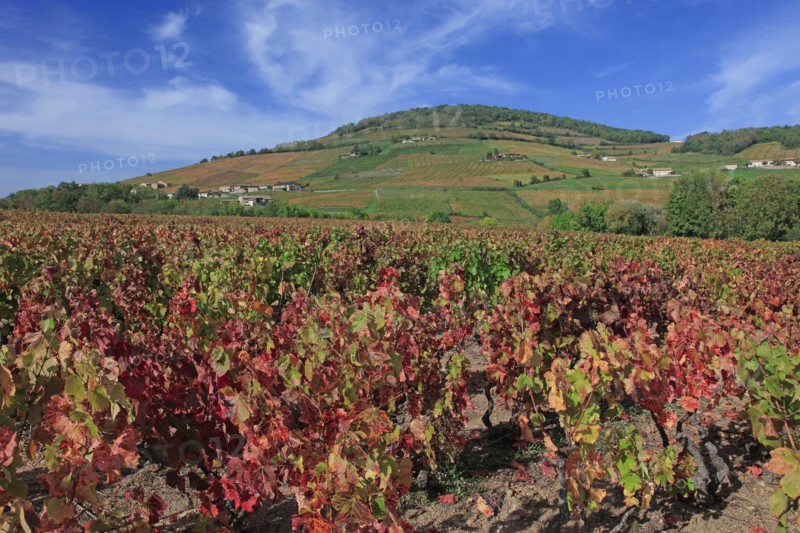 Saint-Lager, Rhône