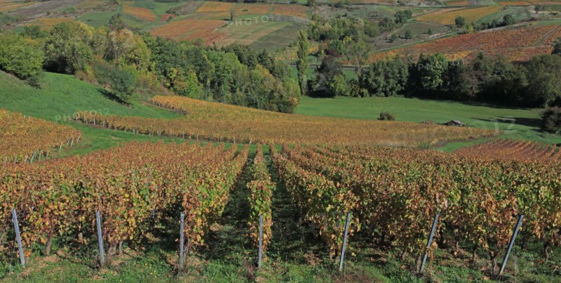 Saint-Vérand, Saône-et-Loire
