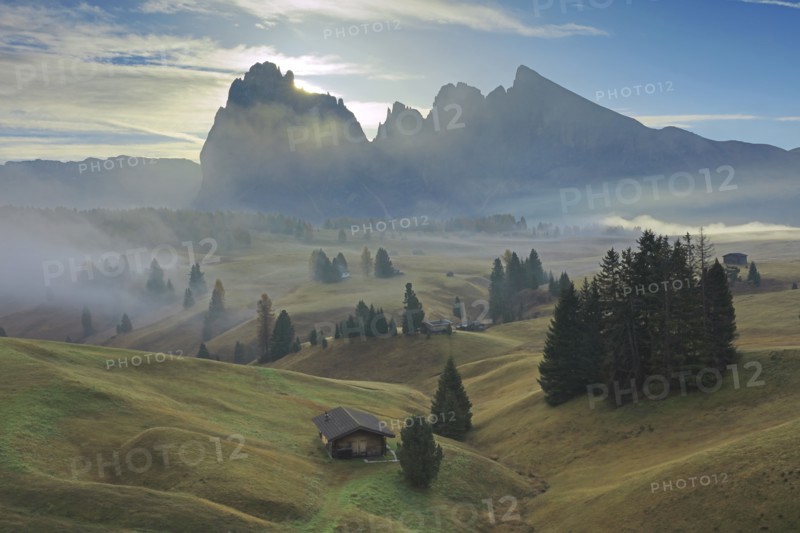 Alpe de Suisi, Dolomites, Italie