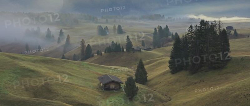Alpe de Suisi, Dolomites, Italie