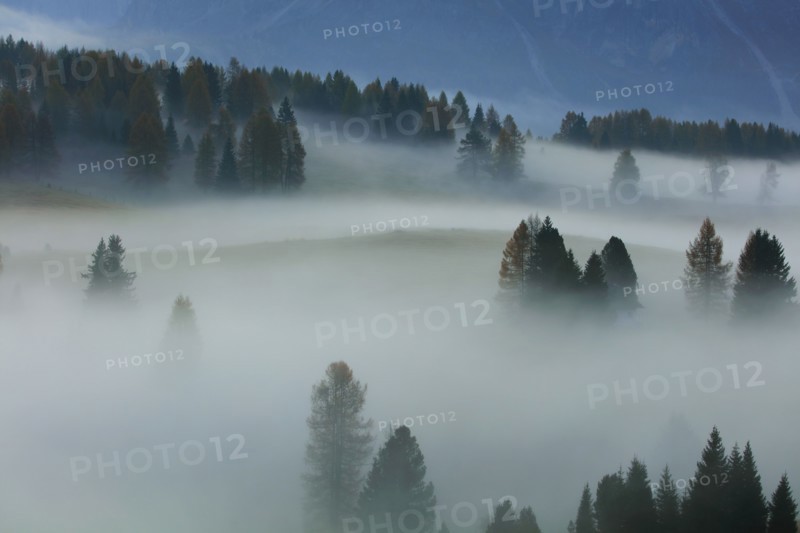 Seiser Alm, Dolomites, Italy