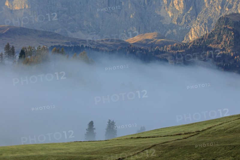 Alpe de Suisi, Dolomites, Italie