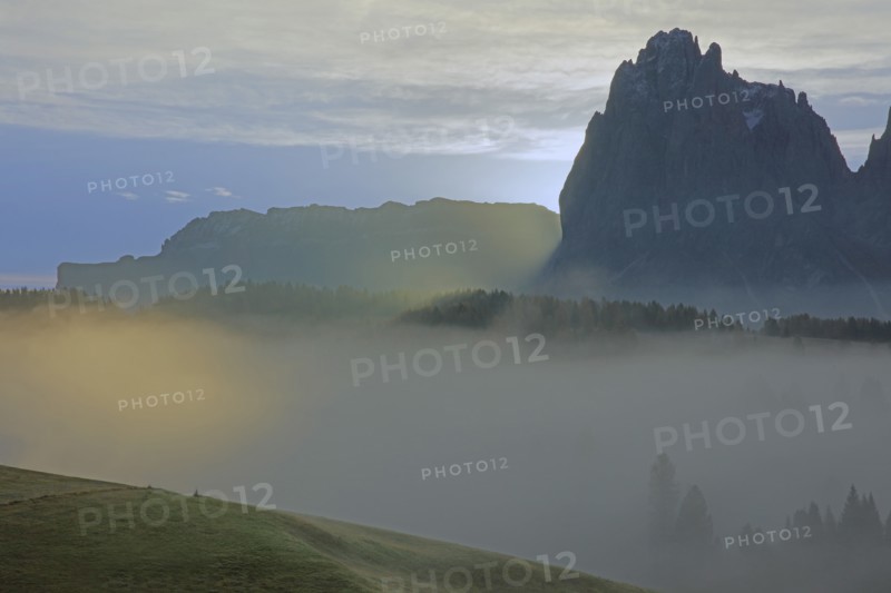 Alpe de Suisi, Dolomites, Italie