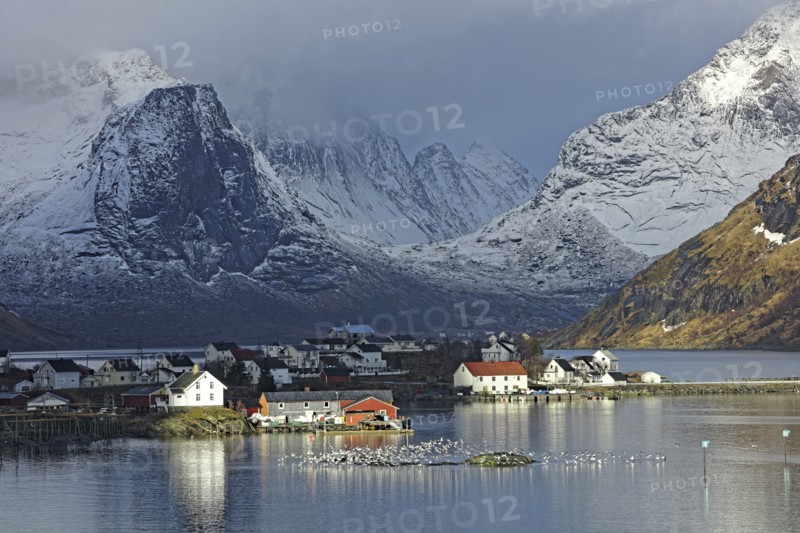Iles Lofoten, Norvège