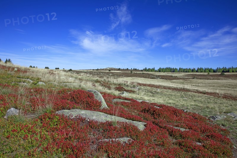 Mont Lozère landscape, Lozère