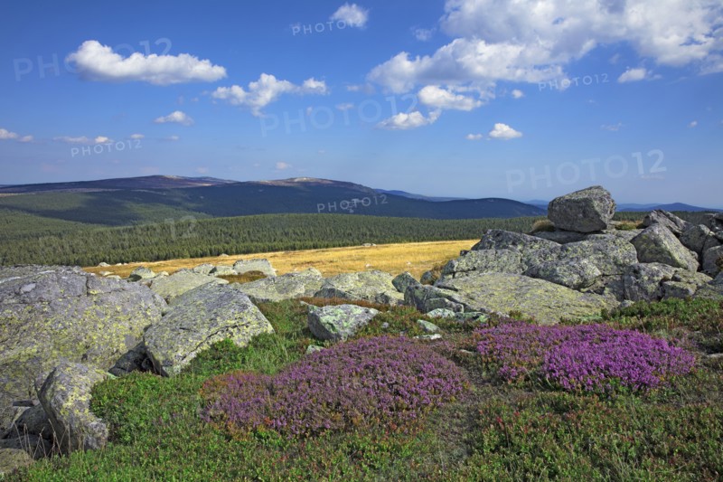 Paysage des hauts plateaux du Finiels, Lozère