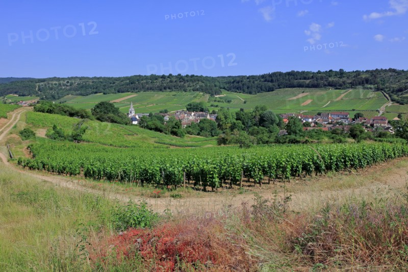 Auxey-Duresses, Côte d'Or