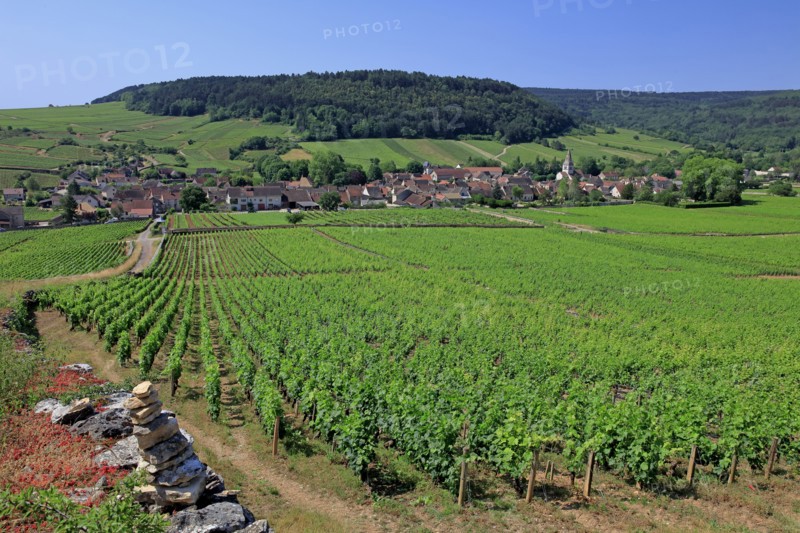 Auxey-Duresses, Côte d'Or