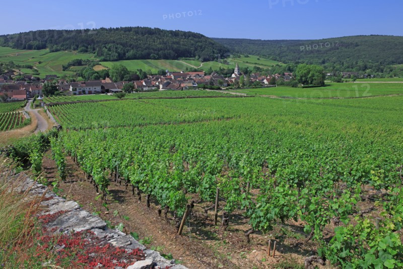 Auxey-Duresses, Côte d'Or