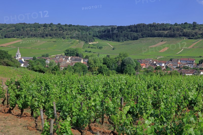 Auxey-Duresses, Côte d'Or