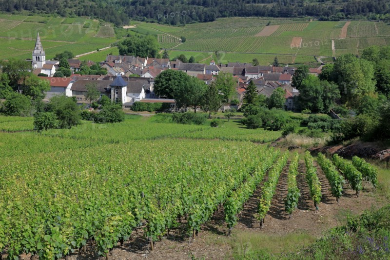 Auxey-Duresses, Côte d'Or