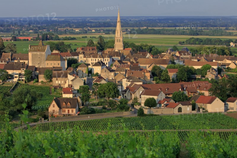 Meursault, Côte d'Or