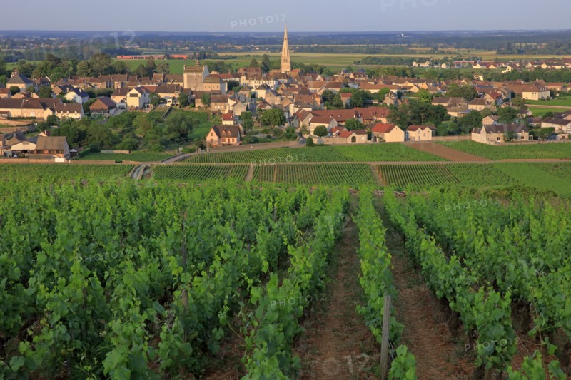 Meursault, Côte d'Or