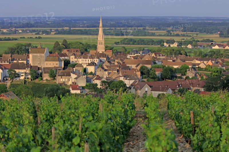 Meursault, Côte d'Or