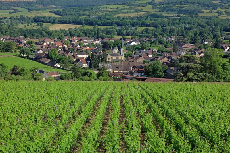 Santenay, Côte d'Or
