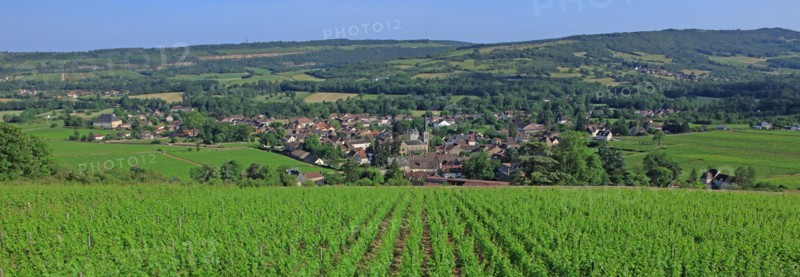 Santenay, Côte d'Or