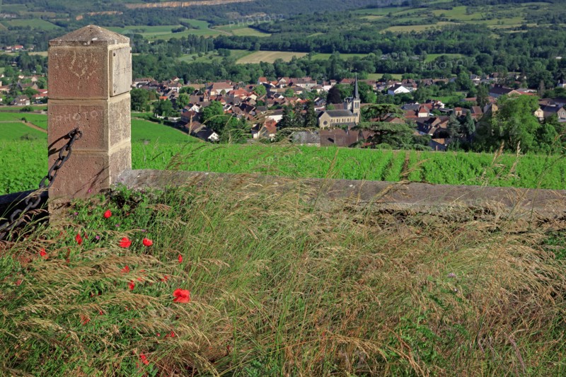 Santenay, Côte d'Or