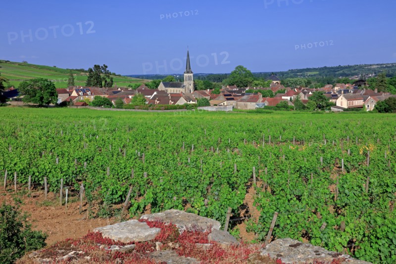 Santenay, Côte d'Or