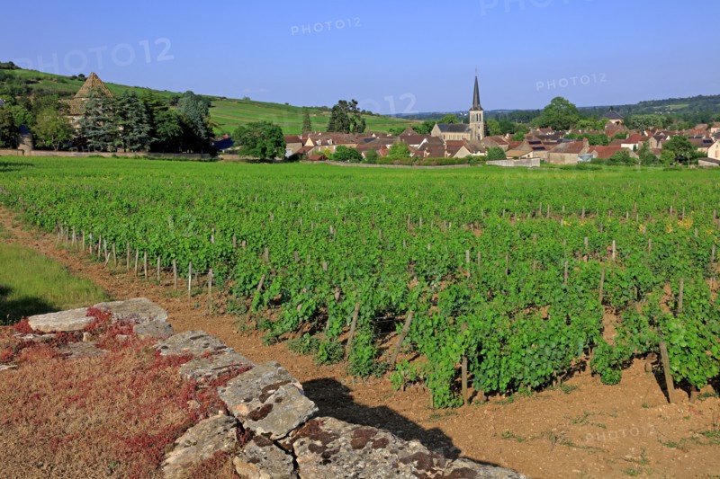 Santenay, Côte d'Or