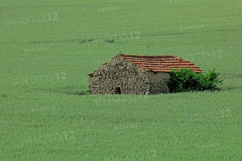 Maison au milieu d'un champ, Côte d'Or