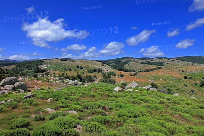 Paysage du Mont Lozère