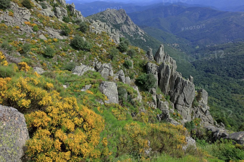 Paysage du Mont Lozère
