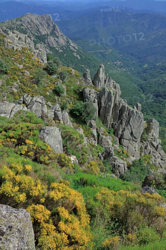 Paysage du Mont Lozère