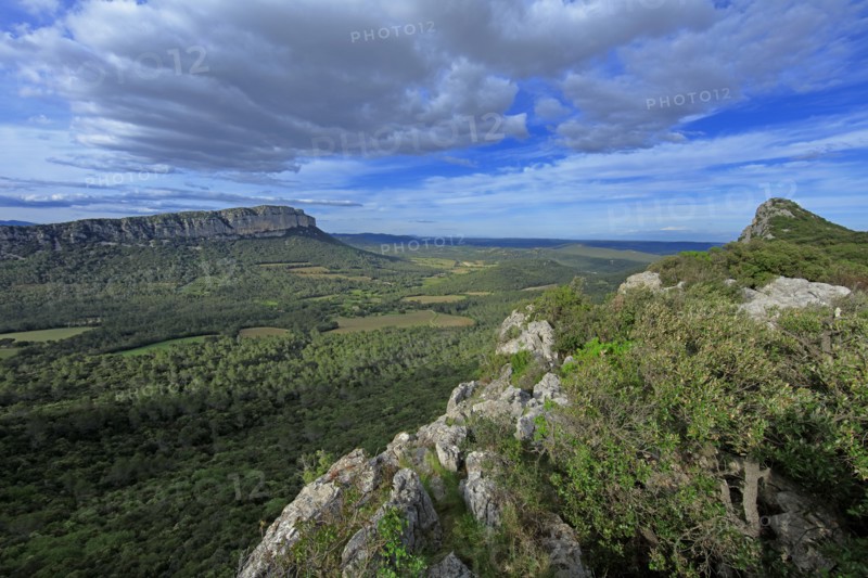 Cazevieille, Hérault