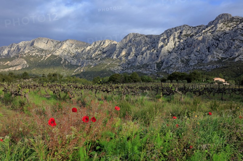 Puyloubier, Bouches-du-Rhône