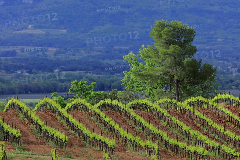 Puyloubier, Bouches-du-Rhône