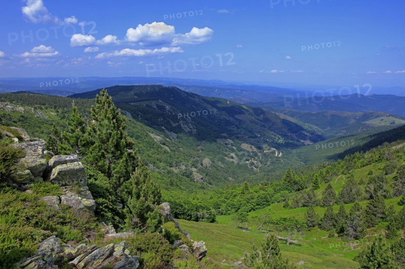 Paysage des Cévennes, Gard