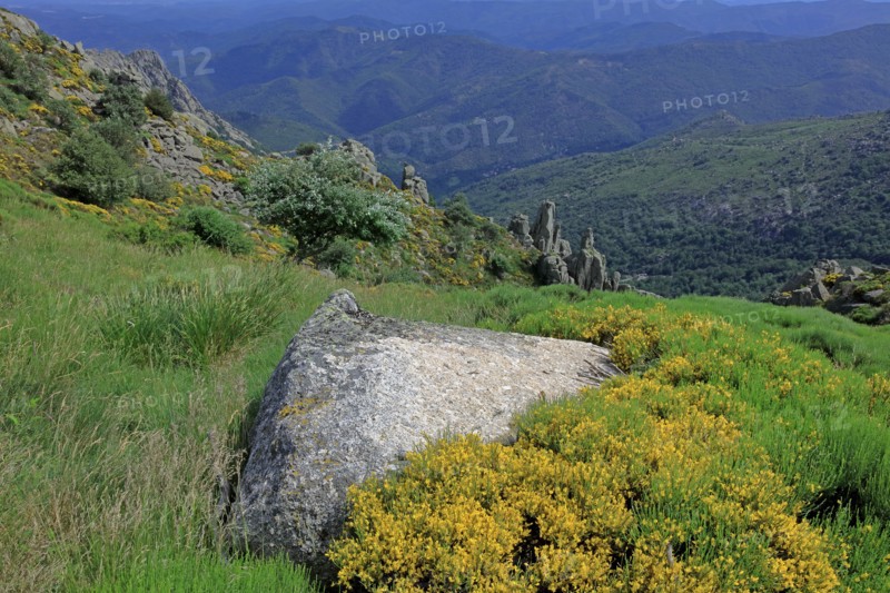 Paysage du Mont Lozère